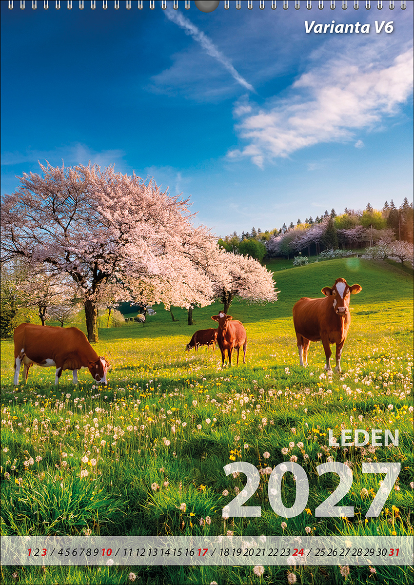 Měsíční kalendář 2027 vzor V06